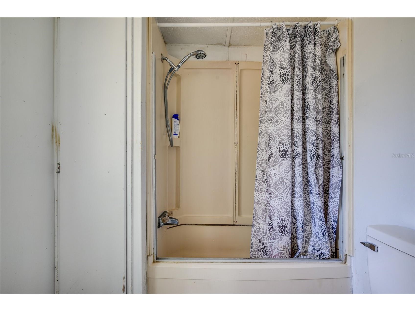 12415 Tocci Lane Riverview FL 33579 O6390618 image16