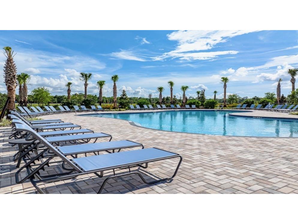 12415 Whisk Court Hudson FL 34669 TB8453011 image21