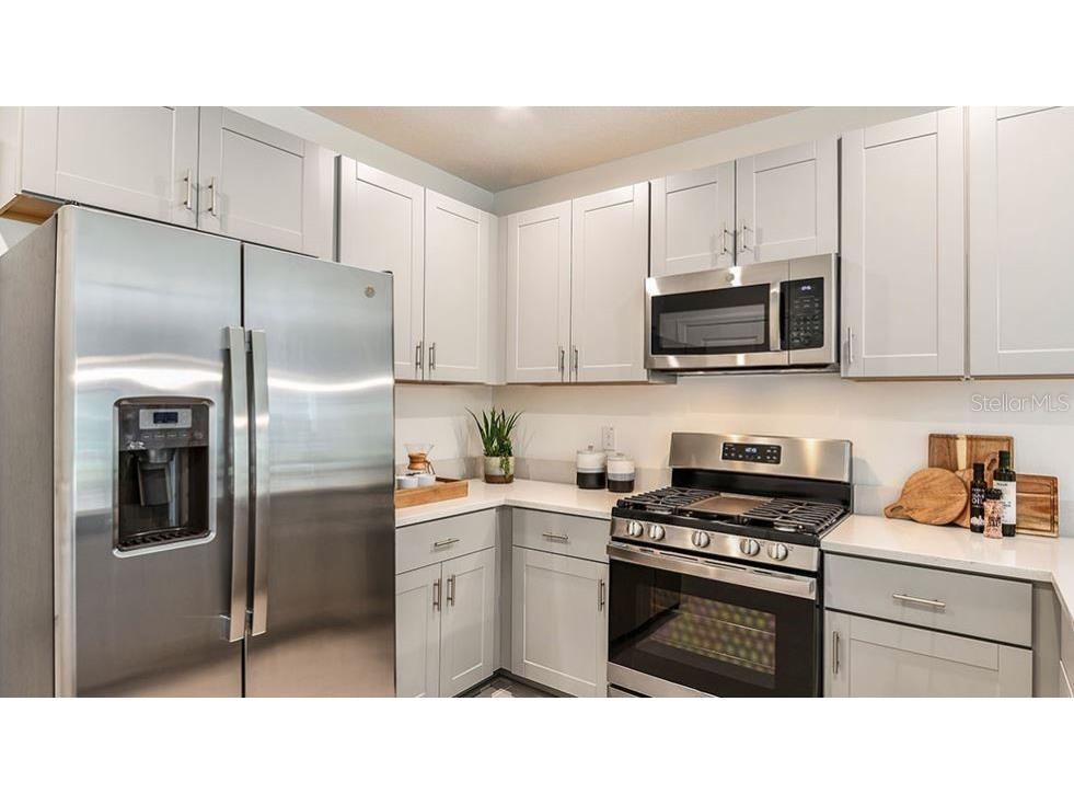 12415 Whisk Court Hudson FL 34669 TB8453011 image6