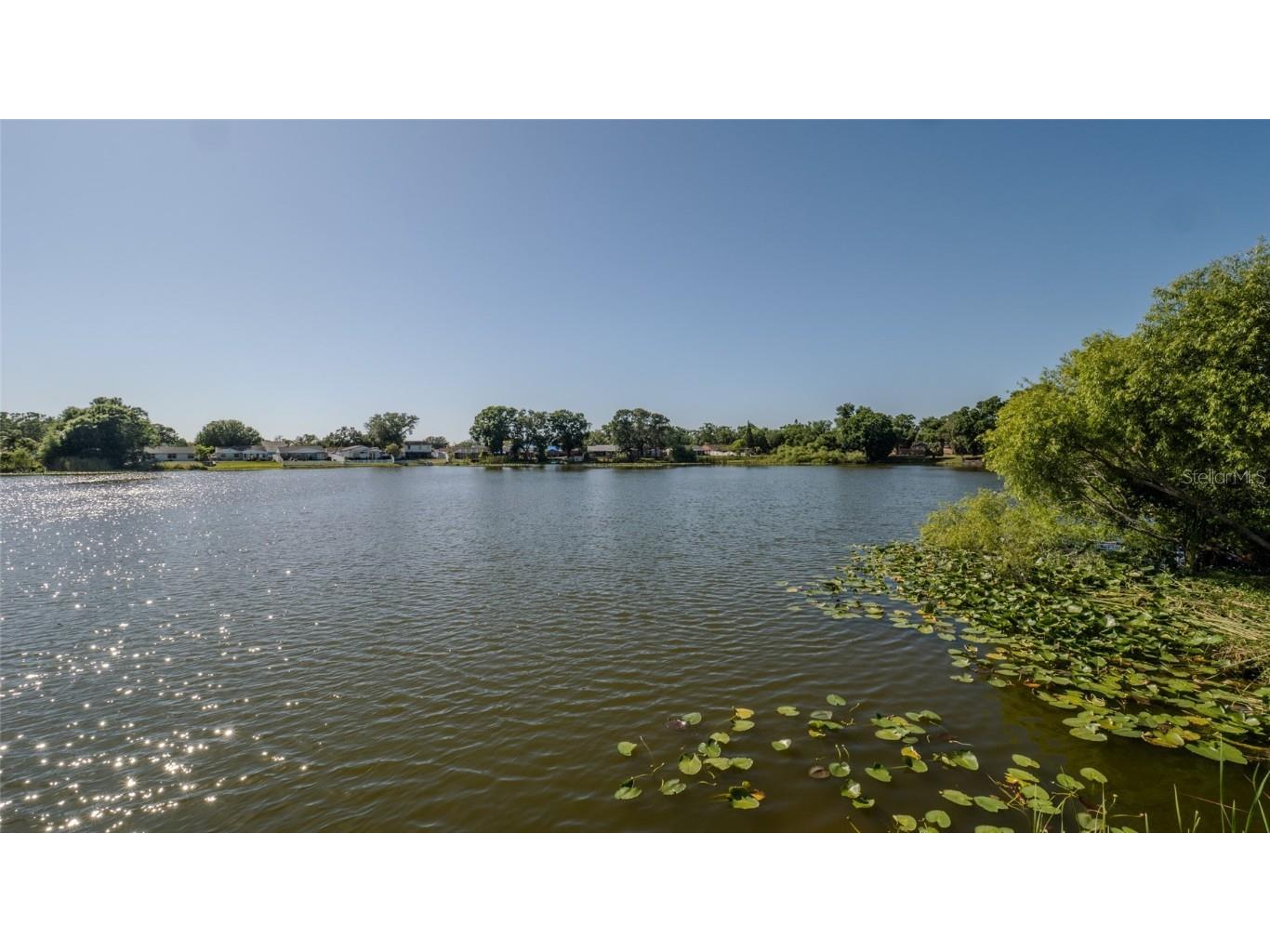 12416 Queensland Lane Tampa FL 33625 TB8391870 image38