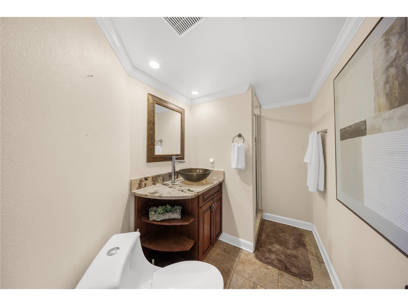 12416 Stillwater Terrace Drive Tampa FL 33618 TB8509406 image24