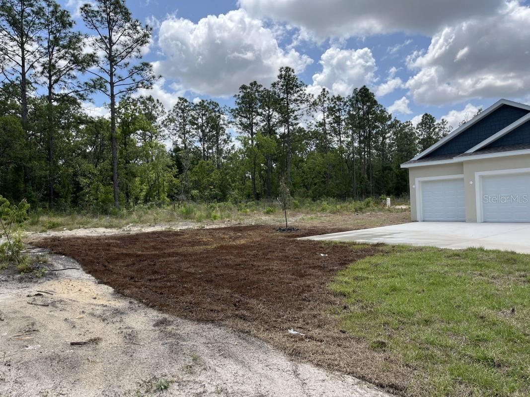 12416 SW 67th Lane Ocala FL 34481 A4692110 image3
