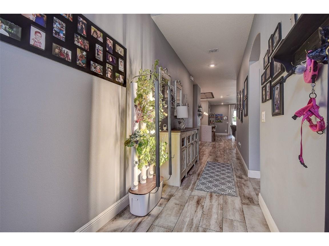 12417 Sourwood Way New Port Richey FL 34654 TB8414142 image2