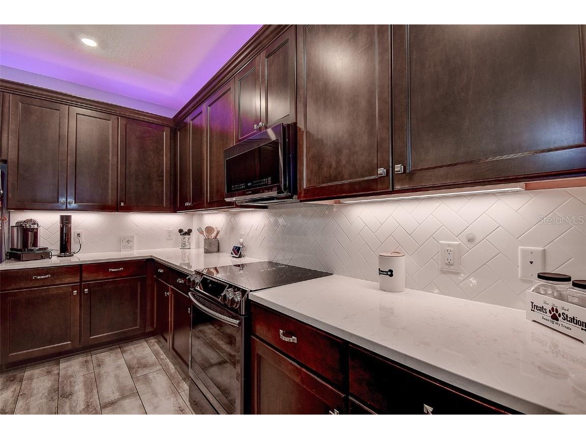 12417 Sourwood Way New Port Richey FL 34654 TB8414142 image22