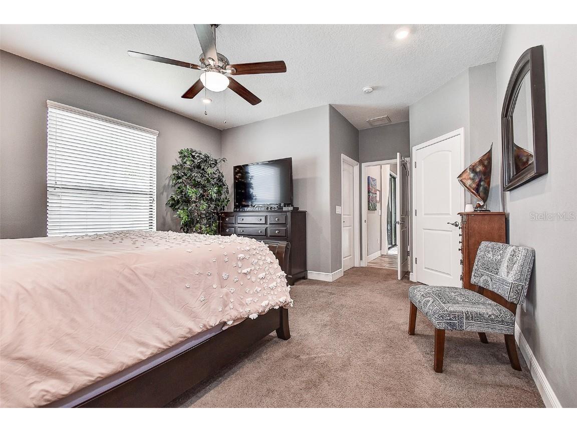 12417 Sourwood Way New Port Richey FL 34654 TB8414142 image28