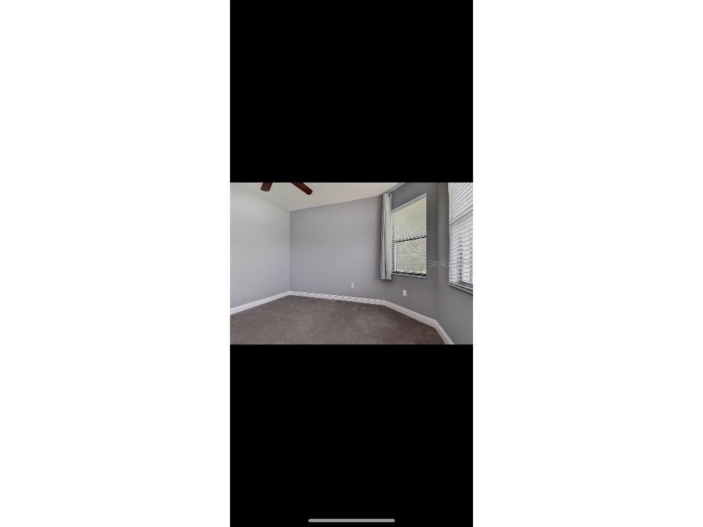 12417 Sourwood Way New Port Richey FL 34654 TB8414142 image46