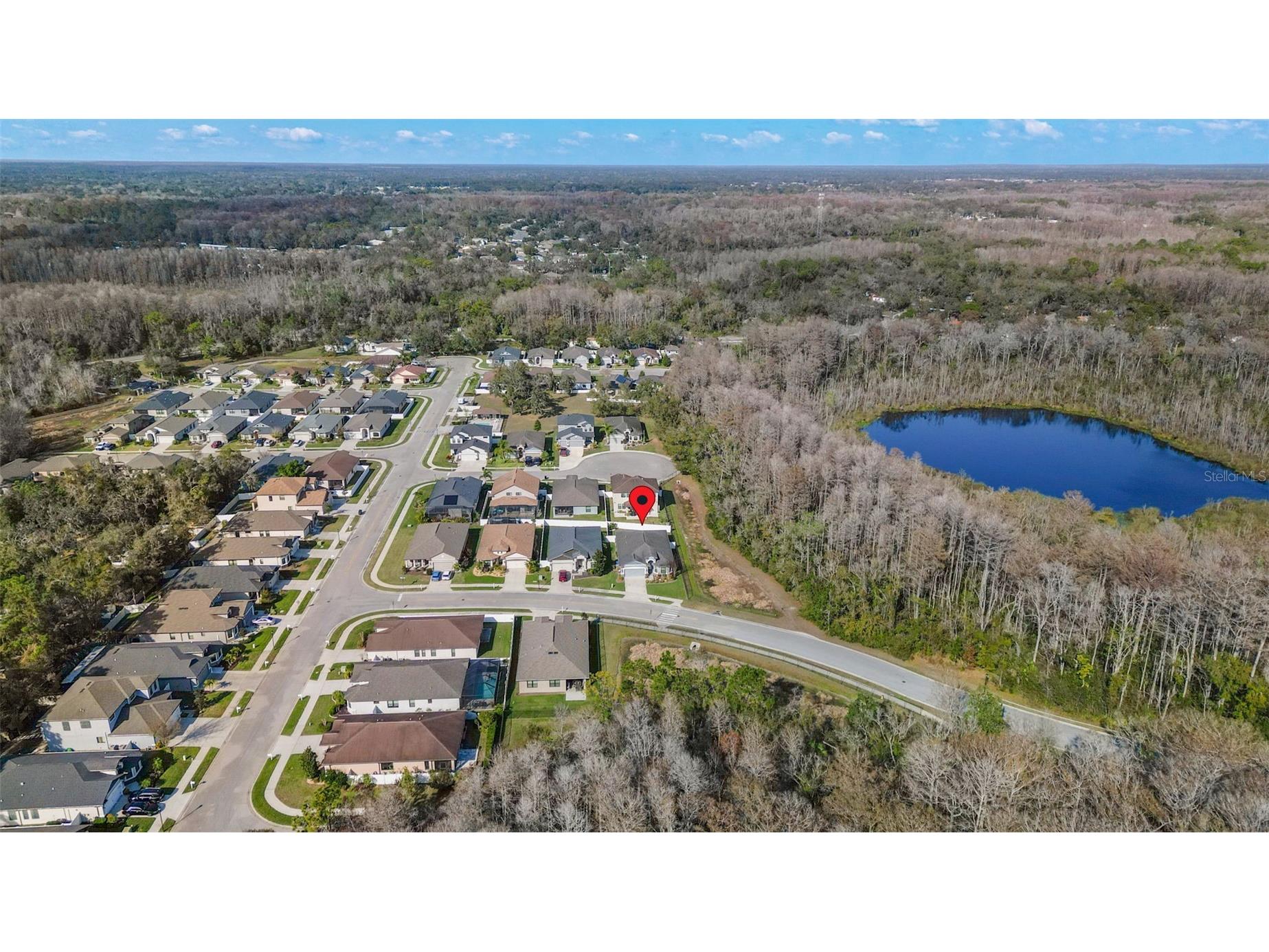 12417 Sourwood Way New Port Richey FL 34654 TB8464466 image36