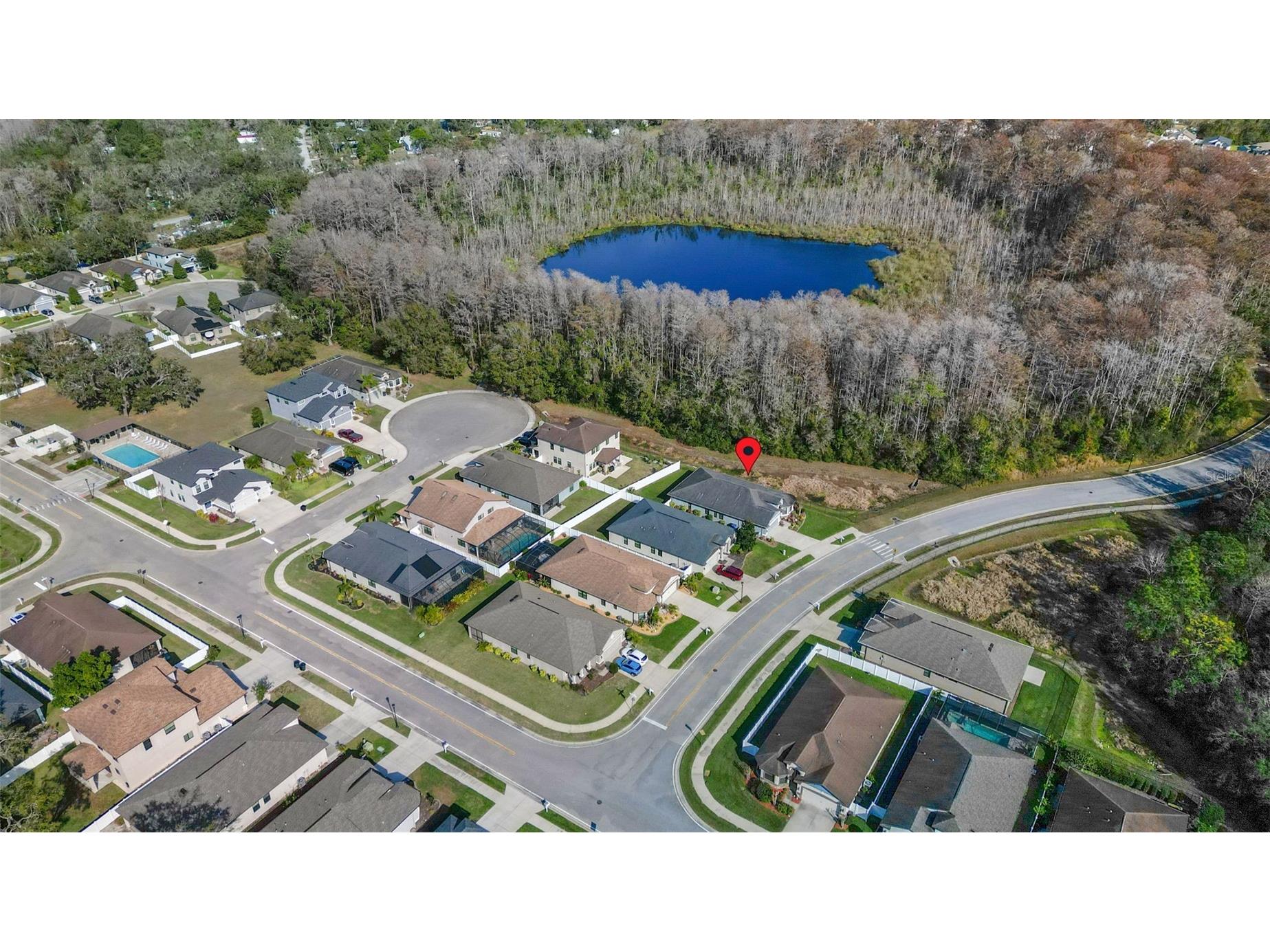 12417 Sourwood Way New Port Richey FL 34654 TB8464466 image39