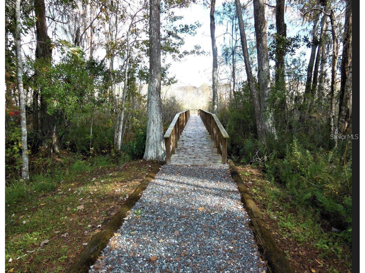 12417 Sourwood Way New Port Richey FL 34654 TB8464466 image44