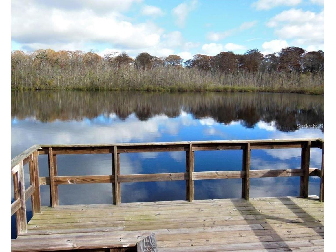 12417 Sourwood Way New Port Richey FL 34654 TB8464466 image45