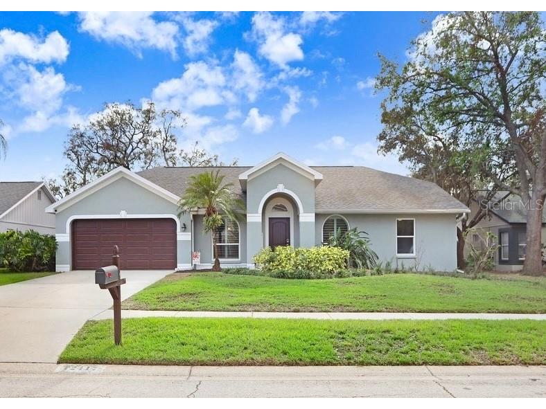 12417 Windswept Avenue Riverview FL 33569 TB8317217 image1