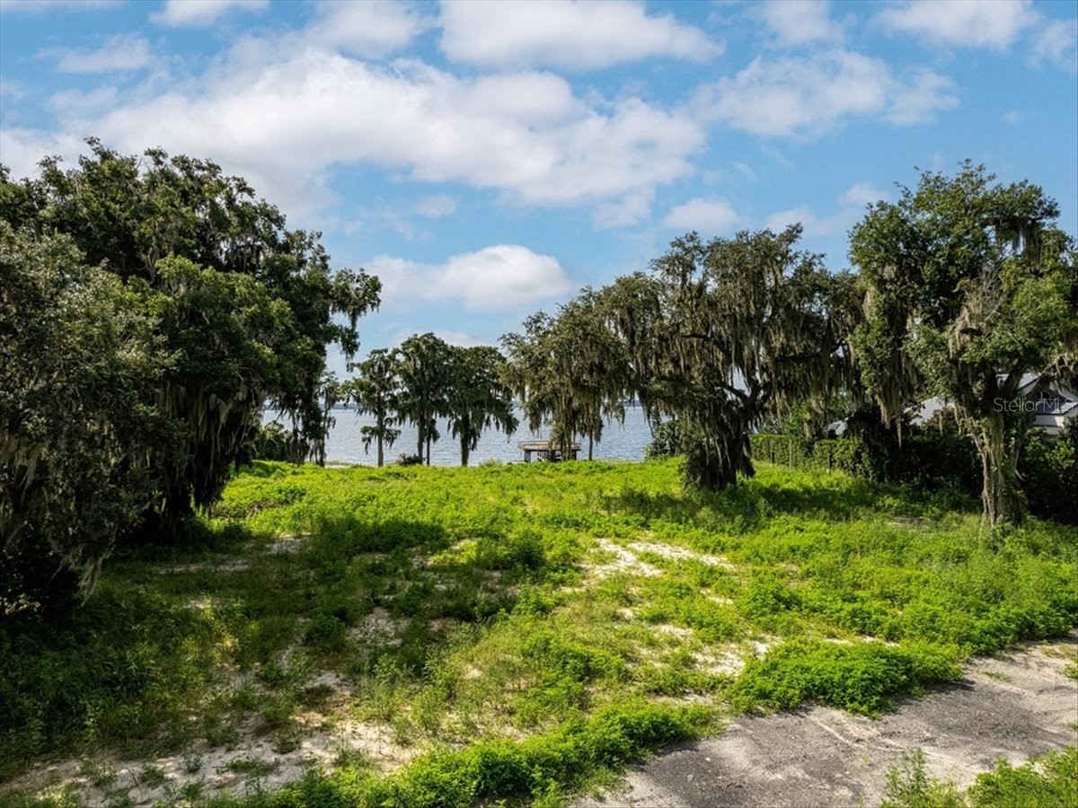 12418 Park Avenue Windermere FL 34786 - LAKE BUTLER / BUTLER CHAIN O6370377 image10