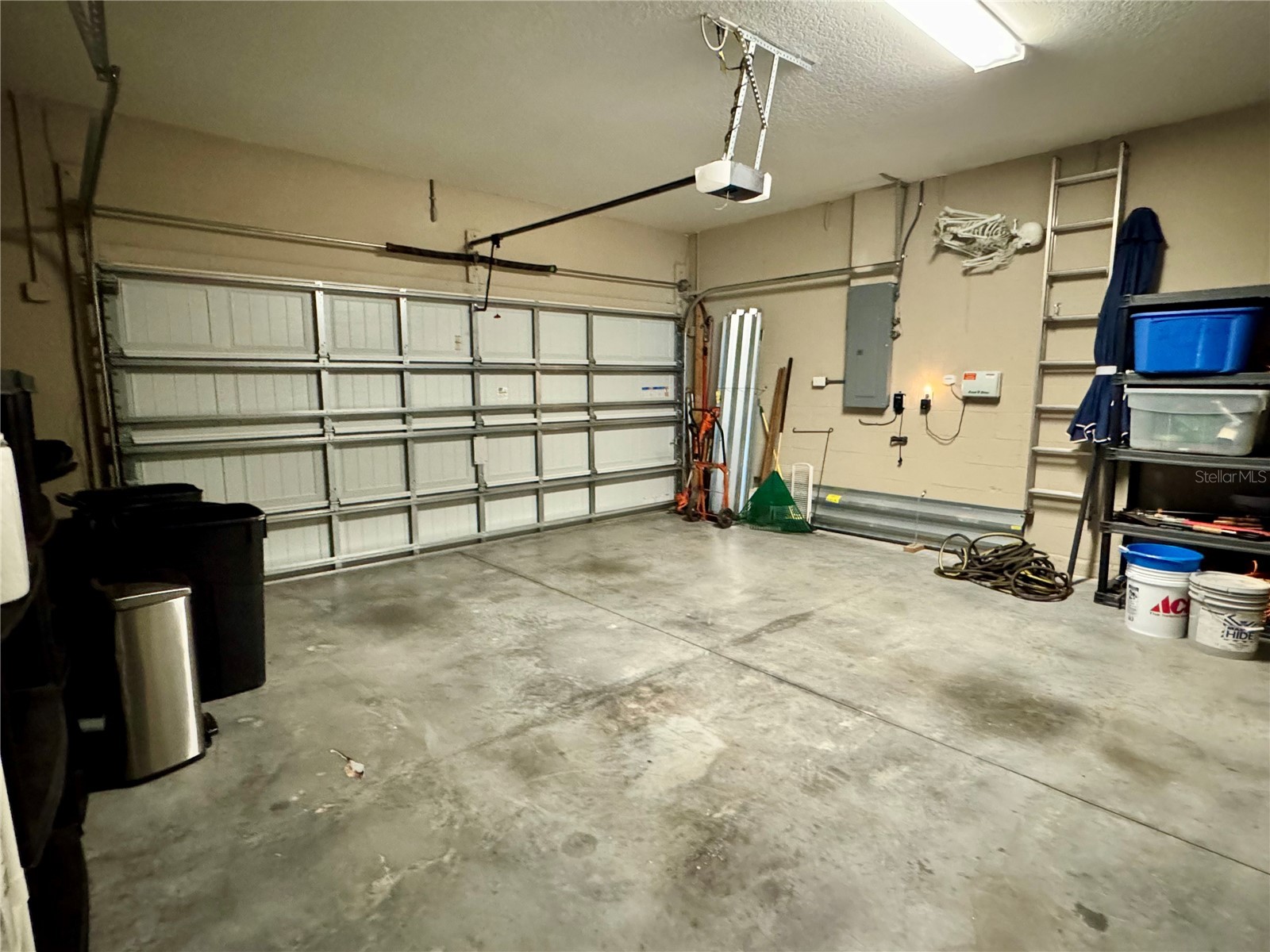 12419 Betony Court New Port Richey FL 34654 TB8481005 image29