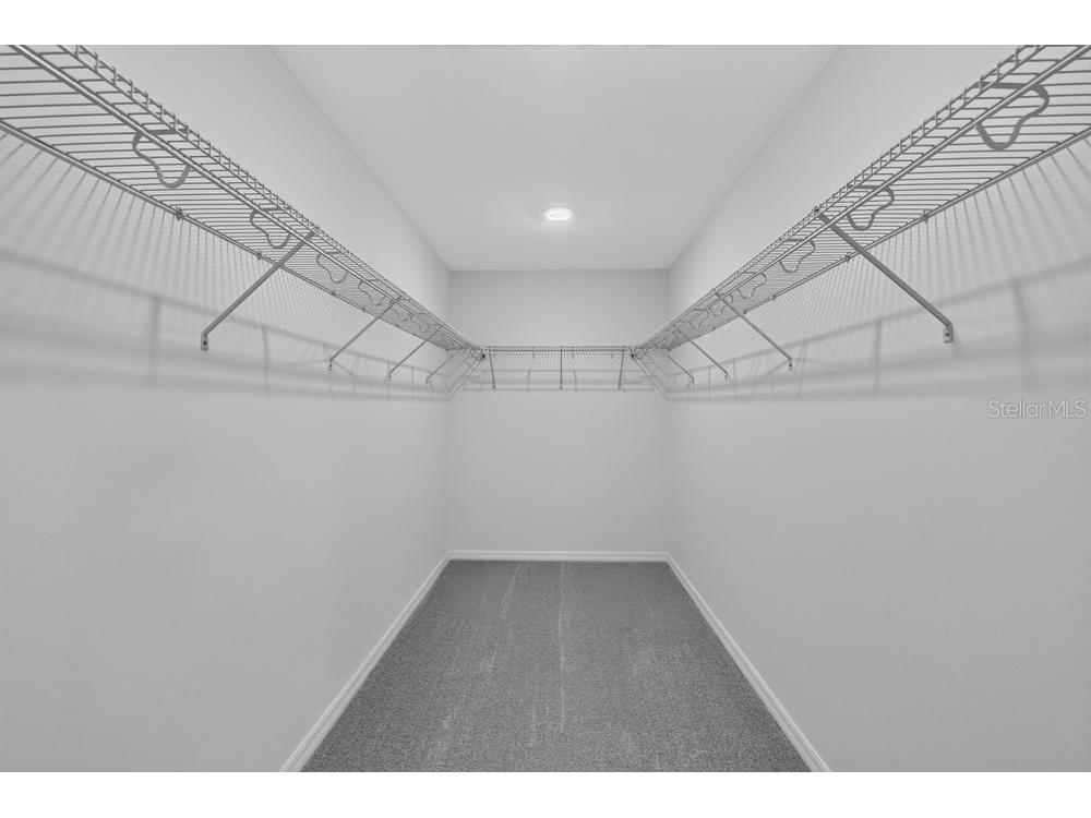 12419 Gust Court Hudson FL 34669 TB8487567 image18