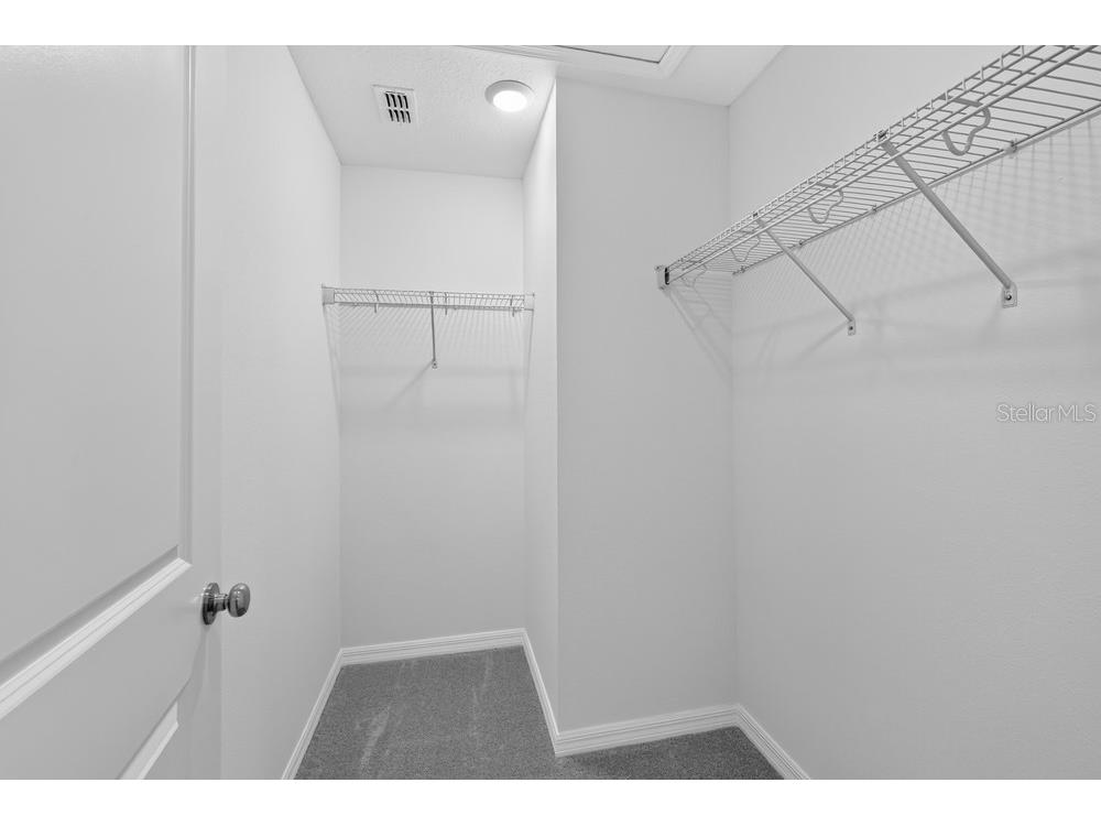 12419 Gust Court Hudson FL 34669 TB8487567 image19