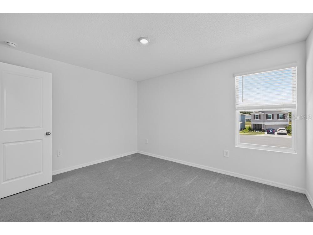 12419 Gust Court Hudson FL 34669 TB8487567 image20