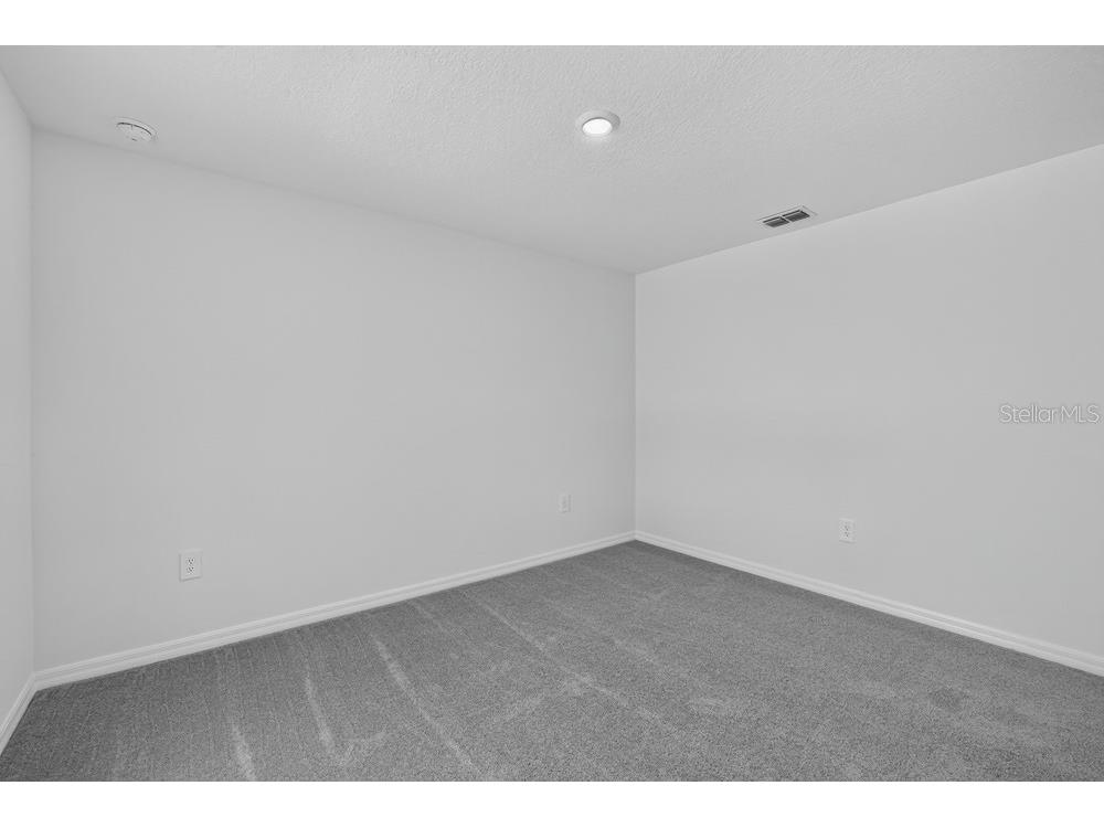 12419 Gust Court Hudson FL 34669 TB8487567 image21