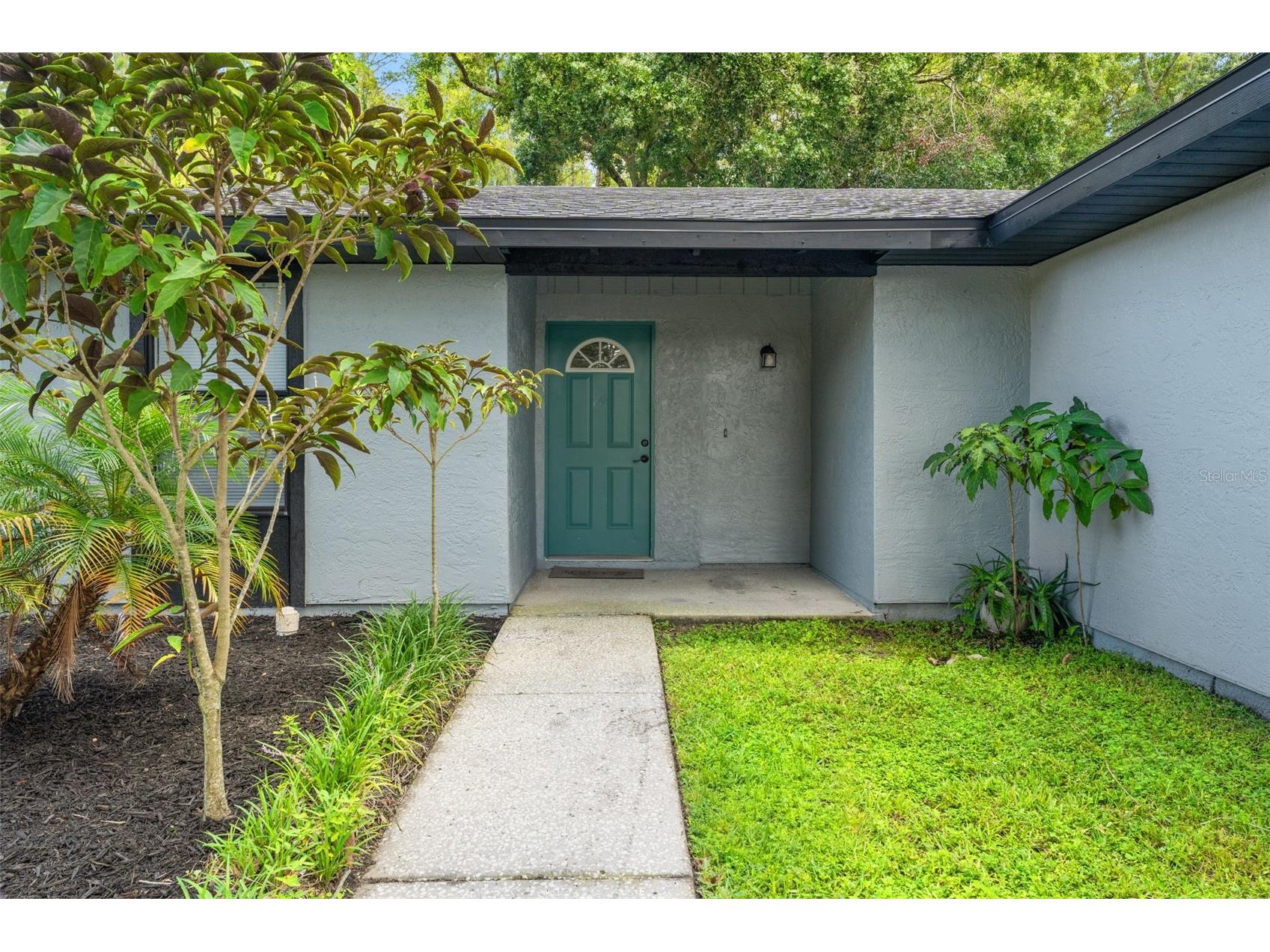 12419 Hidden Brook Drive Tampa FL 33624 TB8512613 image4