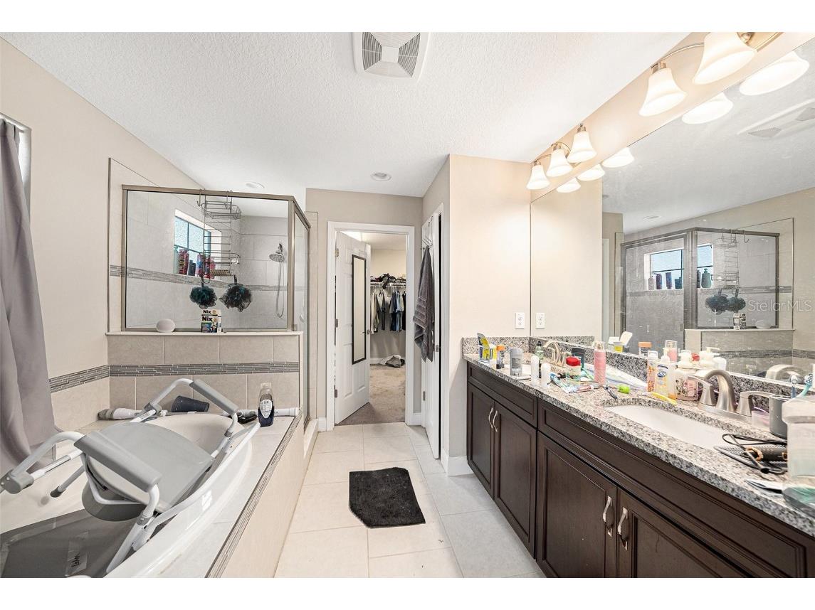 12419 Horseshoe Bend Drive Lithia FL 33547 TB8452516 image10