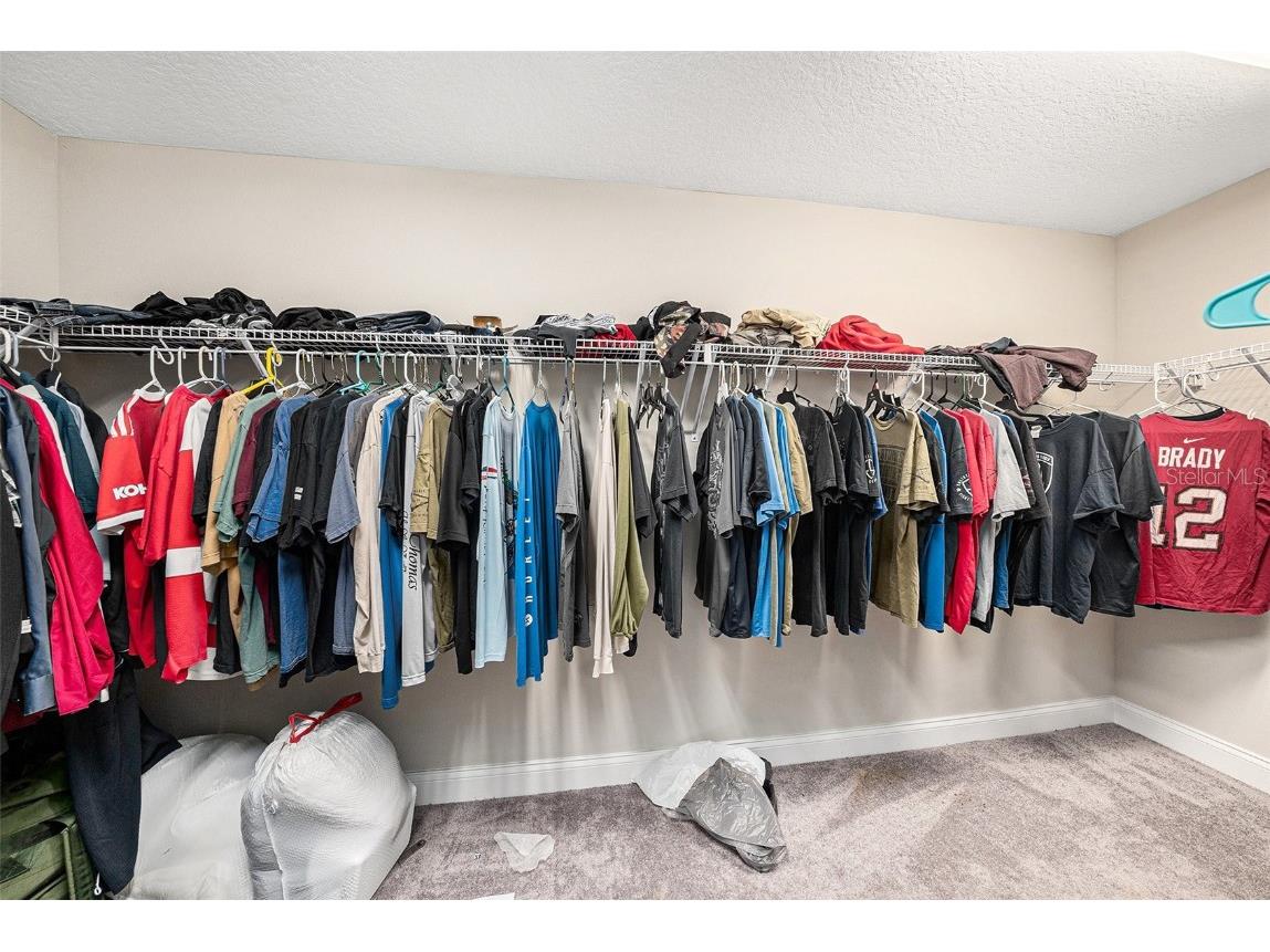 12419 Horseshoe Bend Drive Lithia FL 33547 TB8452516 image11