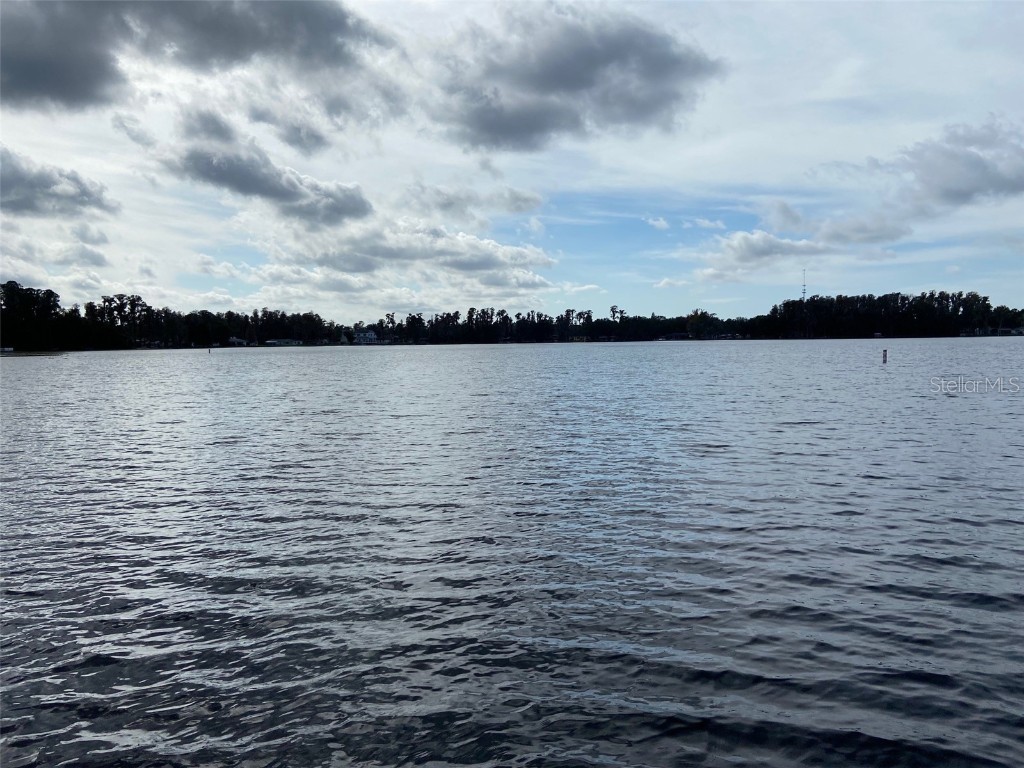 12419 Lamont Avenue New Port Richey FL 34654 - Moon Lake W7876679 image16