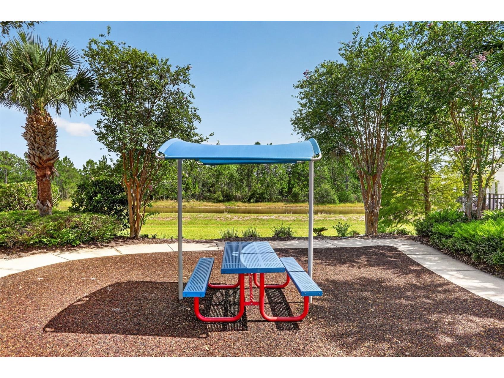 1242 Butterfly Orchid Road Davenport FL 33837 O6421680 image96