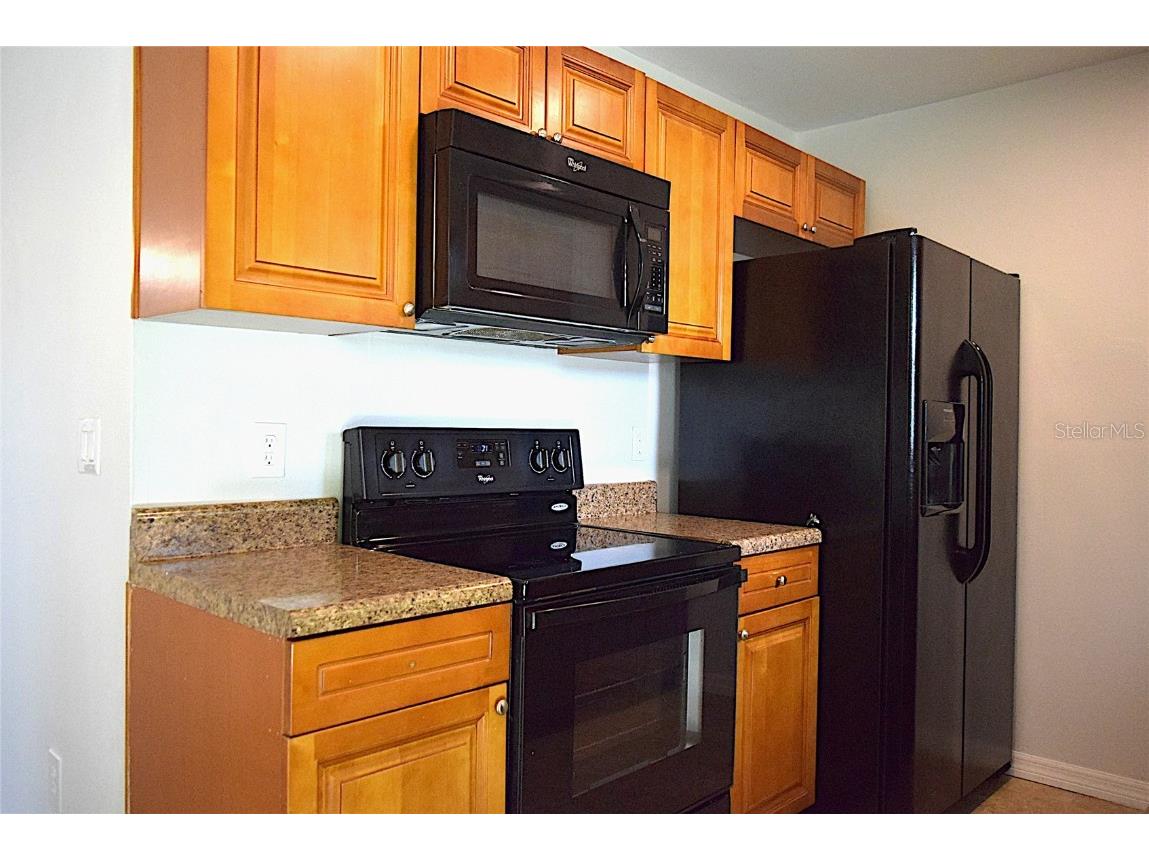 1242 Mohrlake Drive Brandon FL 33511 TB8419751 image17