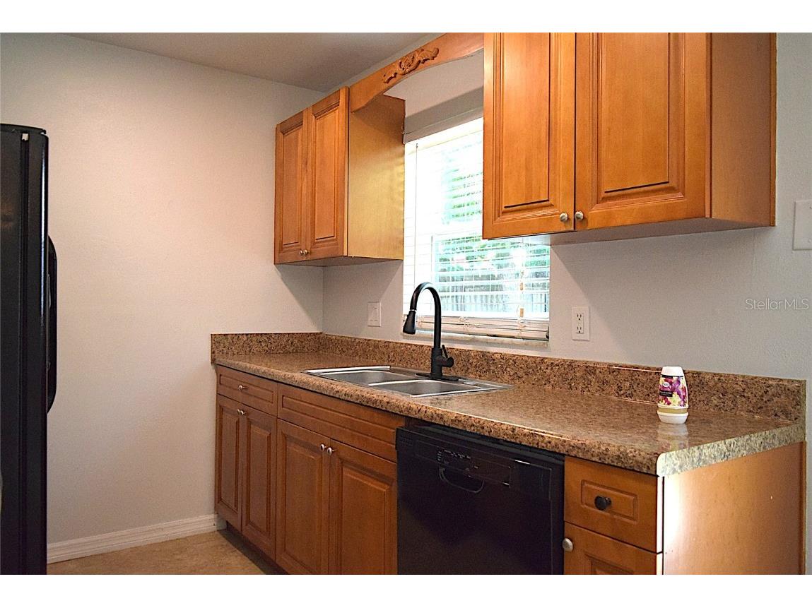 1242 Mohrlake Drive Brandon FL 33511 TB8419751 image18