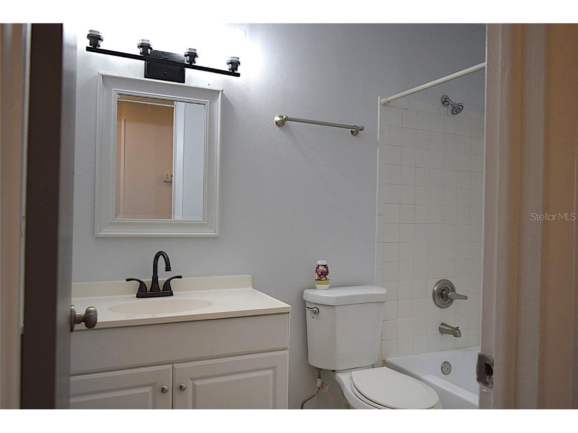 1242 Mohrlake Drive Brandon FL 33511 TB8419751 image23