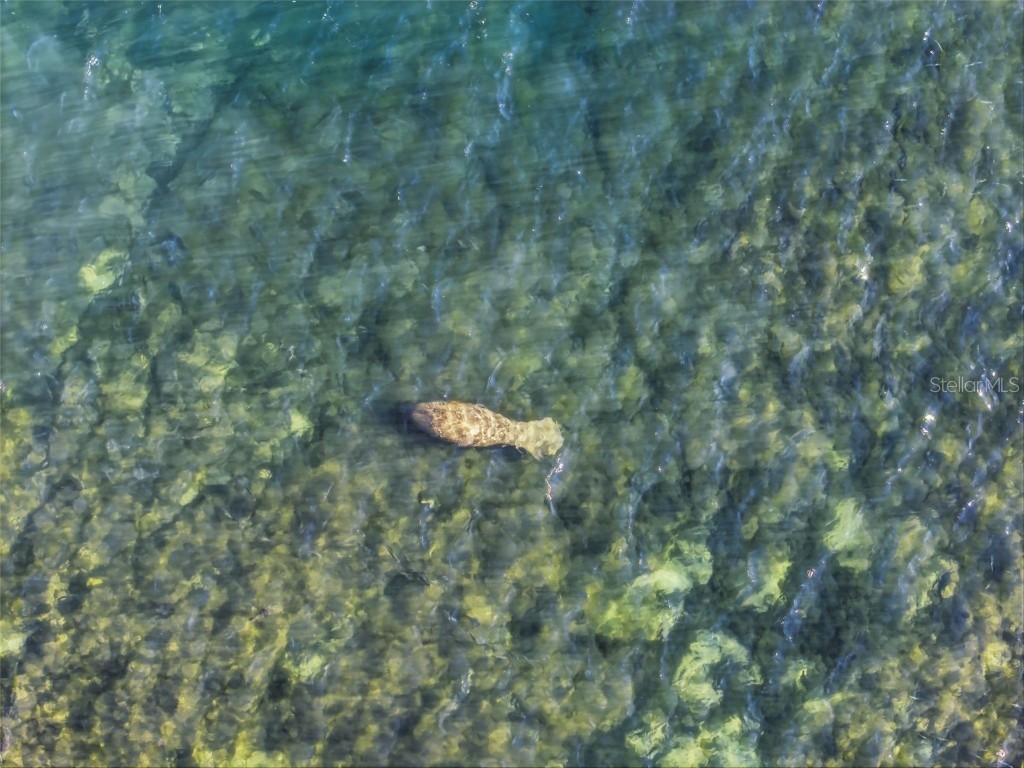 1242 N Circle Drive Crystal River FL 34429 - KING'S BAY CRYSTAL RIVER W7880855 image90