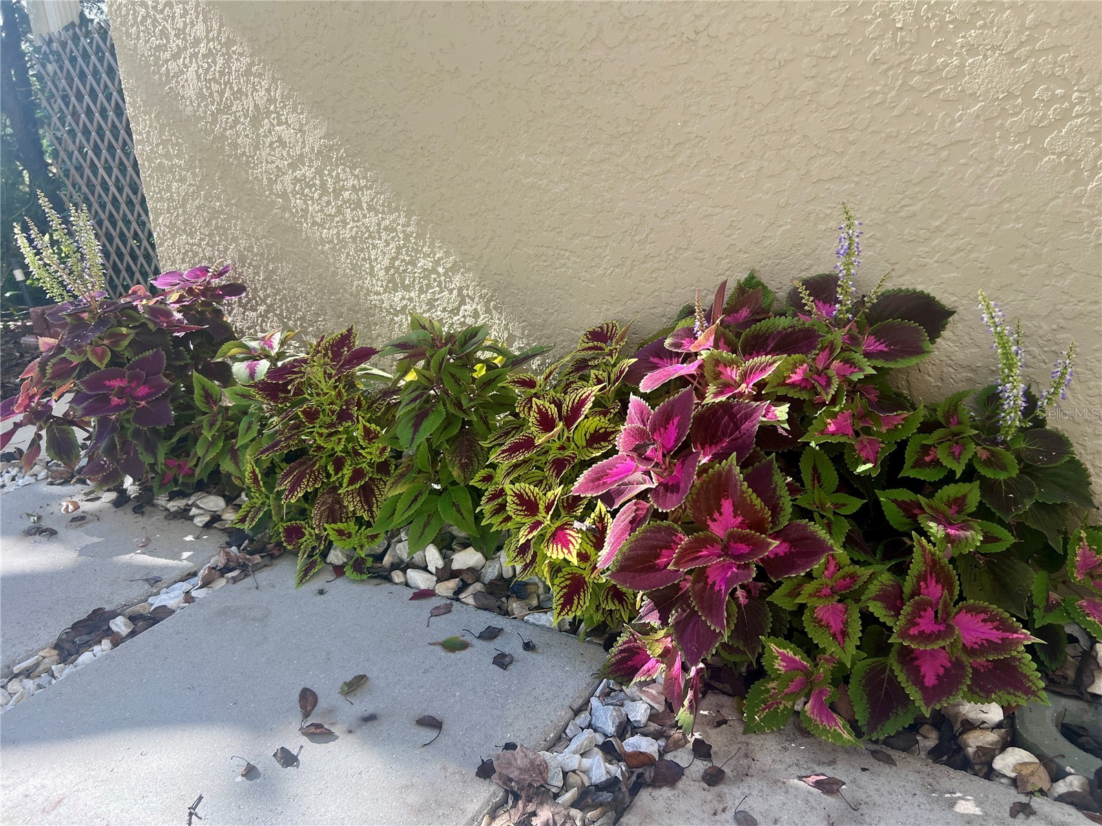 1242 N Fairway Drive Apopka FL 32712 O6364603 image41