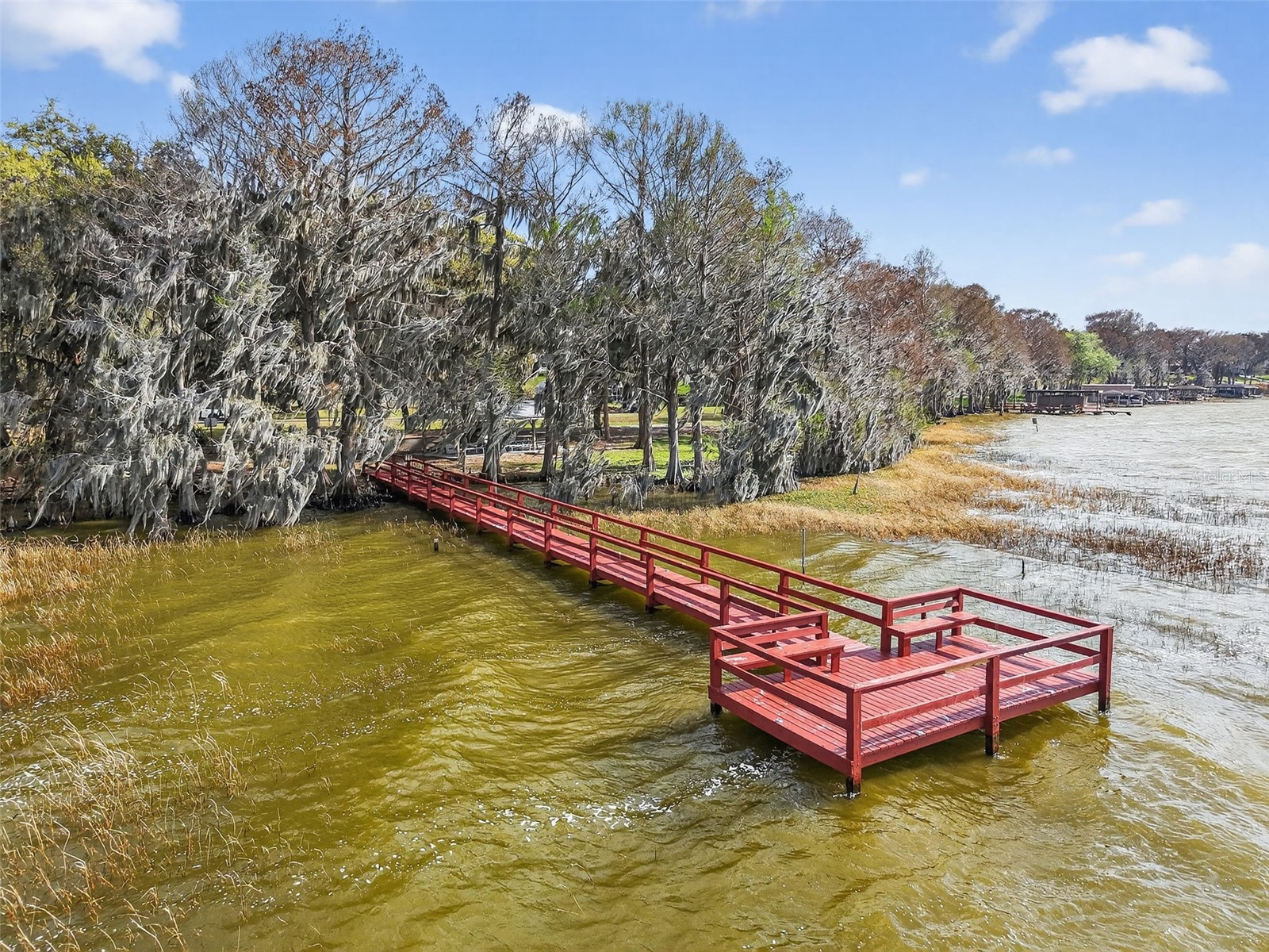 1242 Palmetto Road Eustis FL 32726 - LAKE EUSTIS G5108907 image42