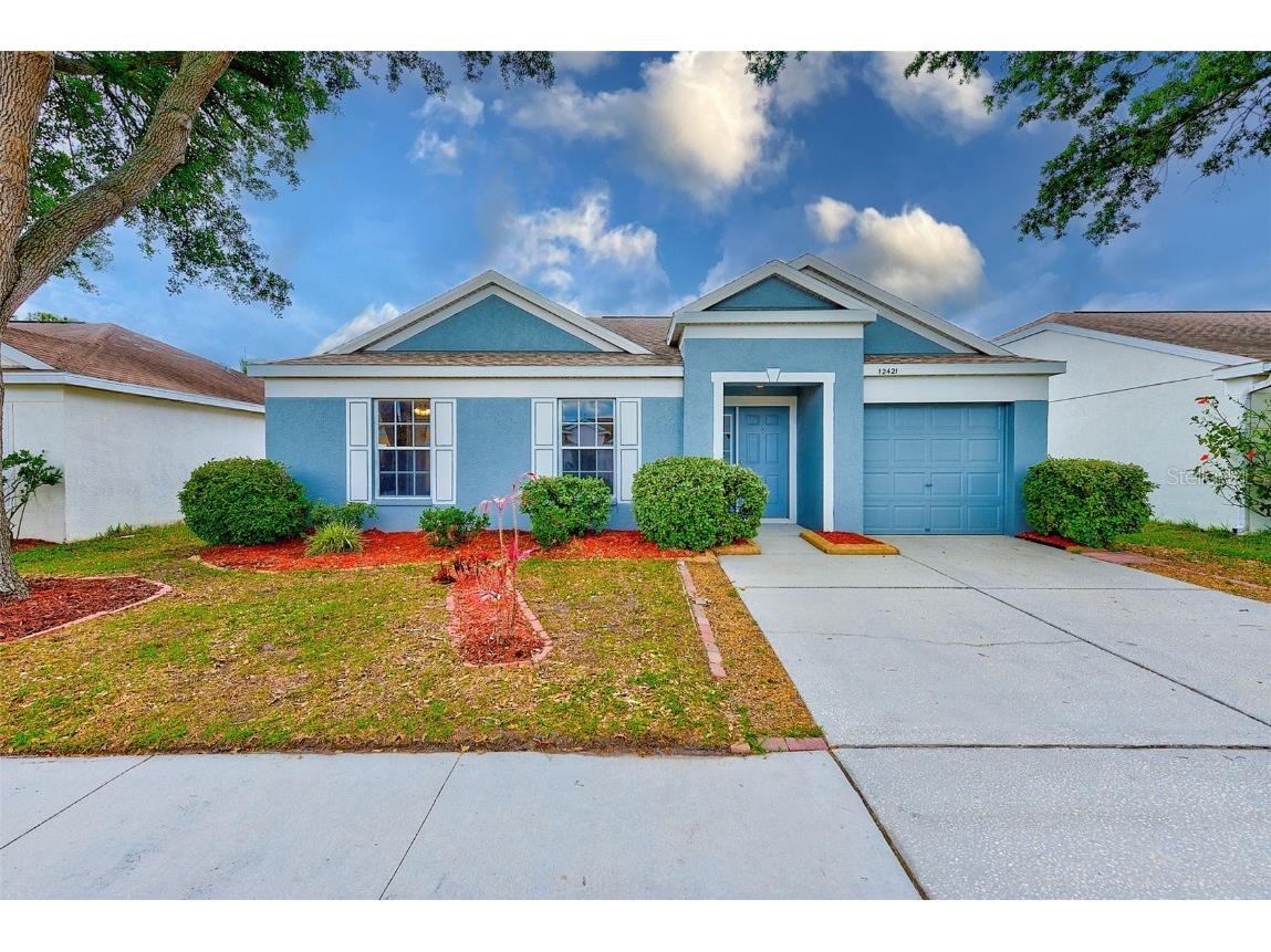 12421 Dawn Vista Drive Riverview FL 33578 T3518309 image1