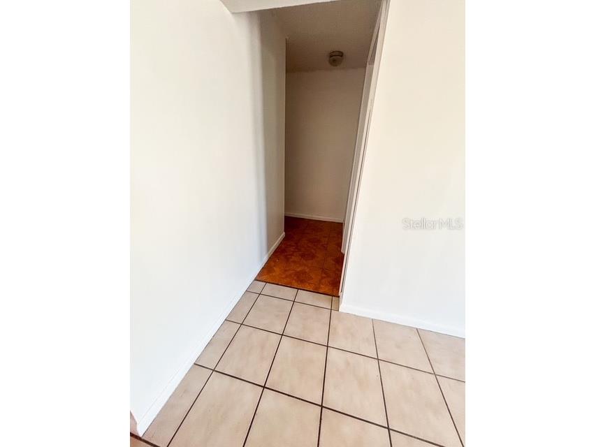 12422 Cardiff Drive Tampa FL 33625 TB8491971 image19