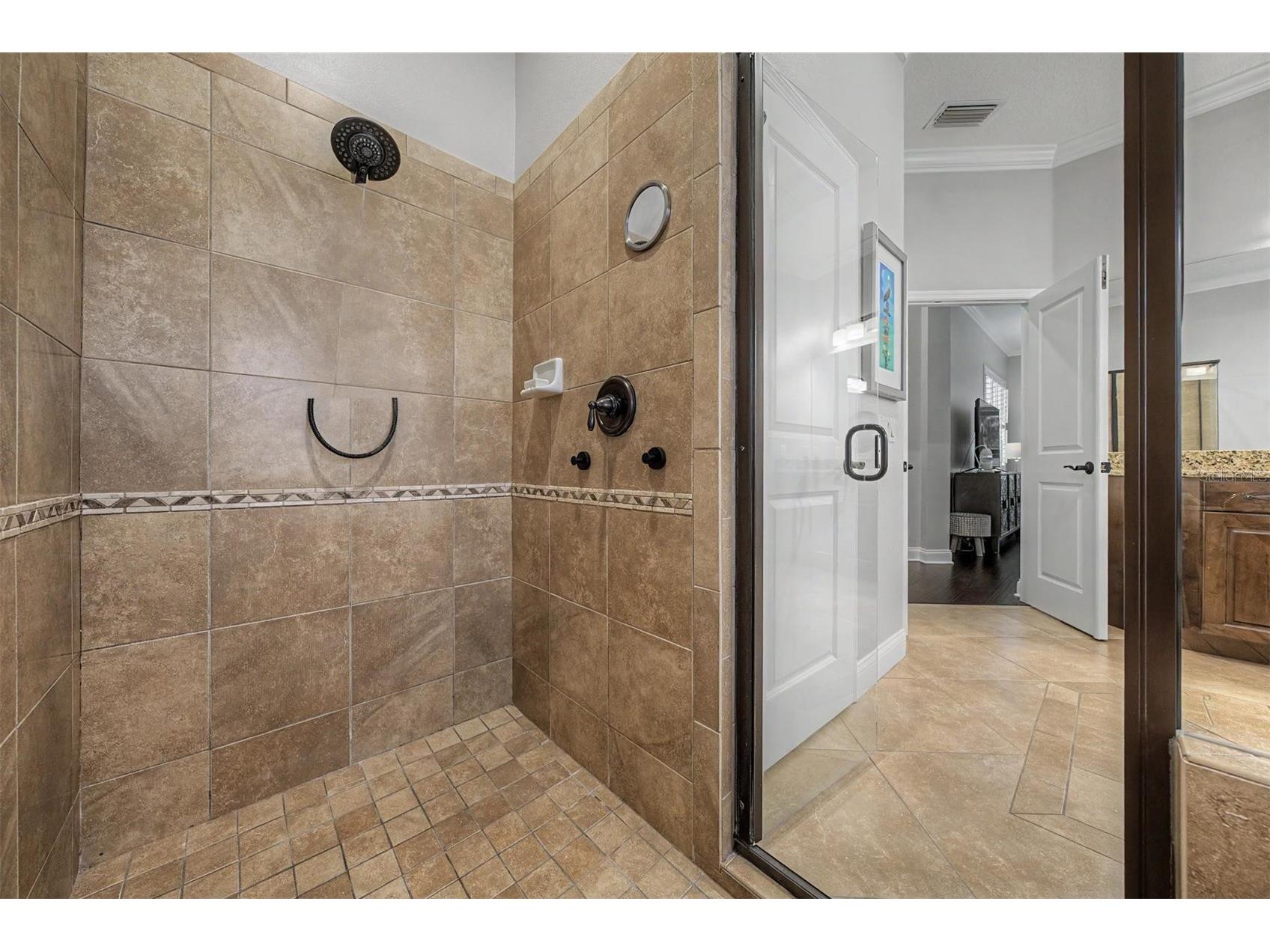 12422 Eagles Entry Drive Odessa FL 33556 TB8514722 image36