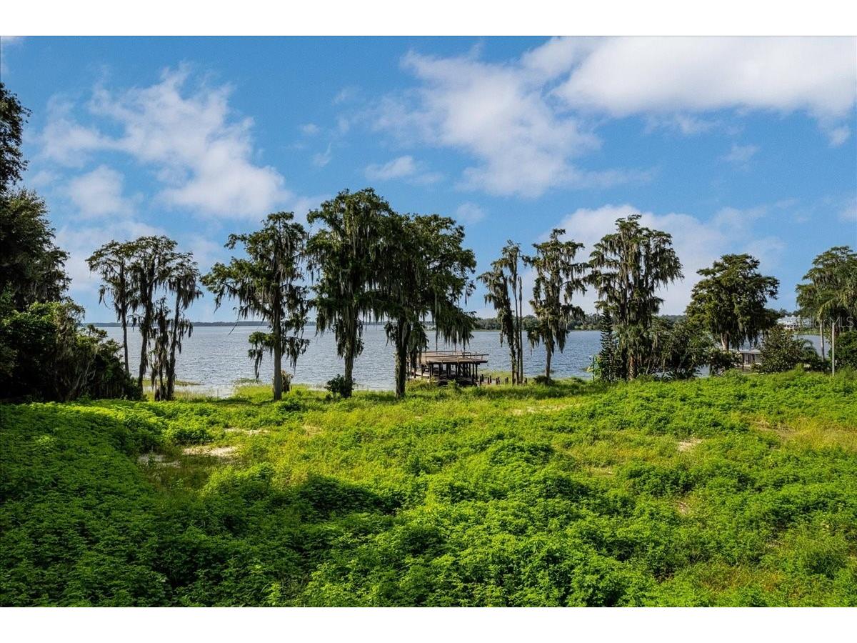 12422 Park Avenue Windermere FL 34786 - LAKE BUTLER O6416090 image3