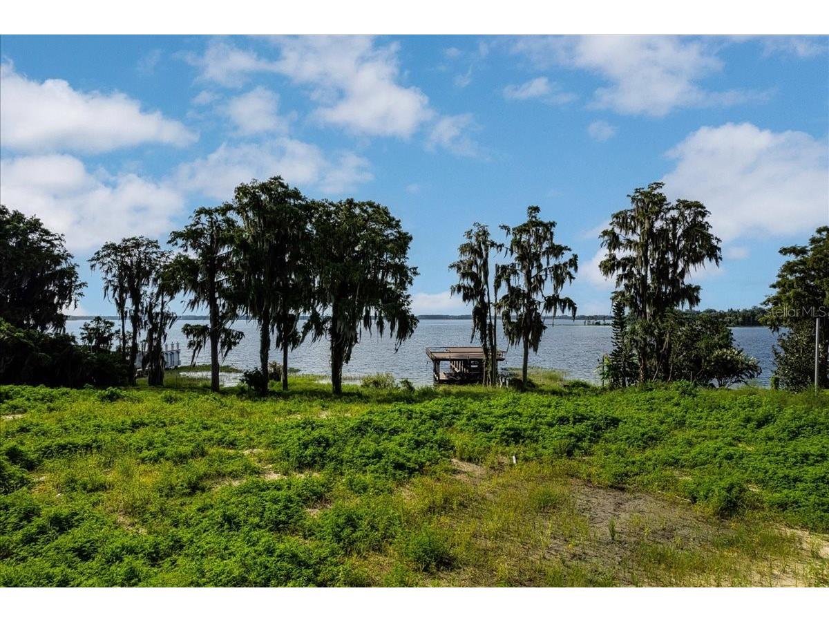 12422 Park Avenue Windermere FL 34786 - LAKE BUTLER O6416090 image4