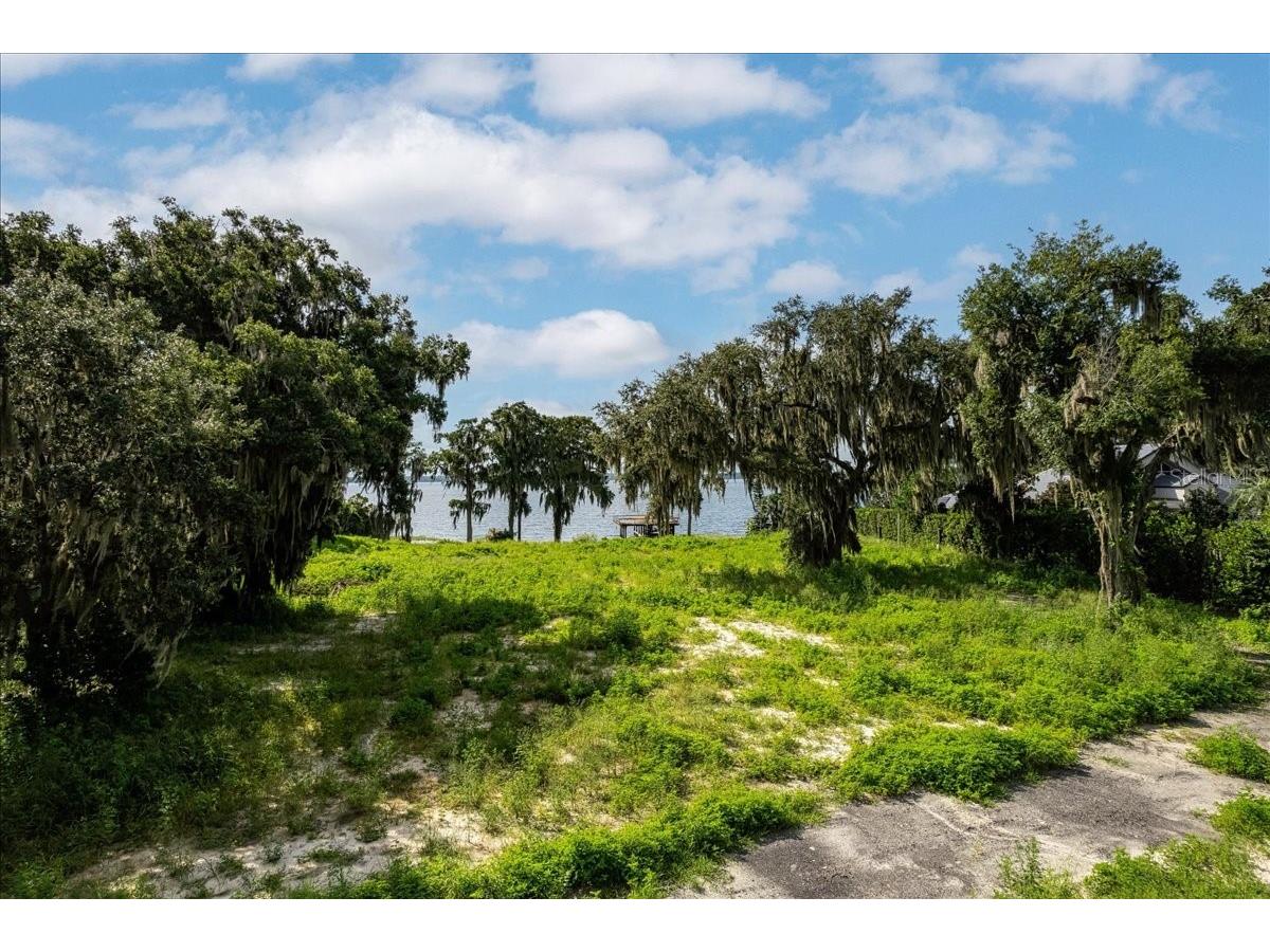 12422 Park Avenue Windermere FL 34786 - LAKE BUTLER O6416090 image49