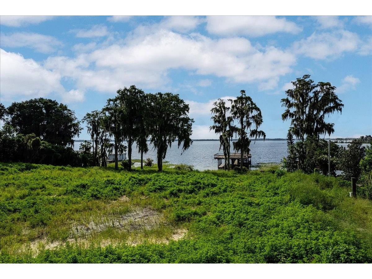 12422 Park Avenue Windermere FL 34786 - LAKE BUTLER O6416090 image5