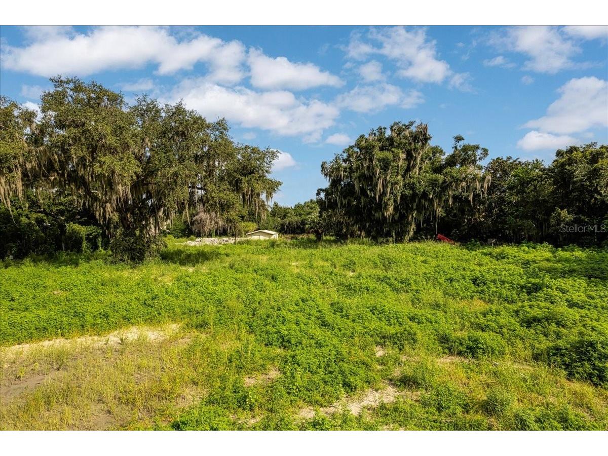 12422 Park Avenue Windermere FL 34786 - LAKE BUTLER O6416090 image52