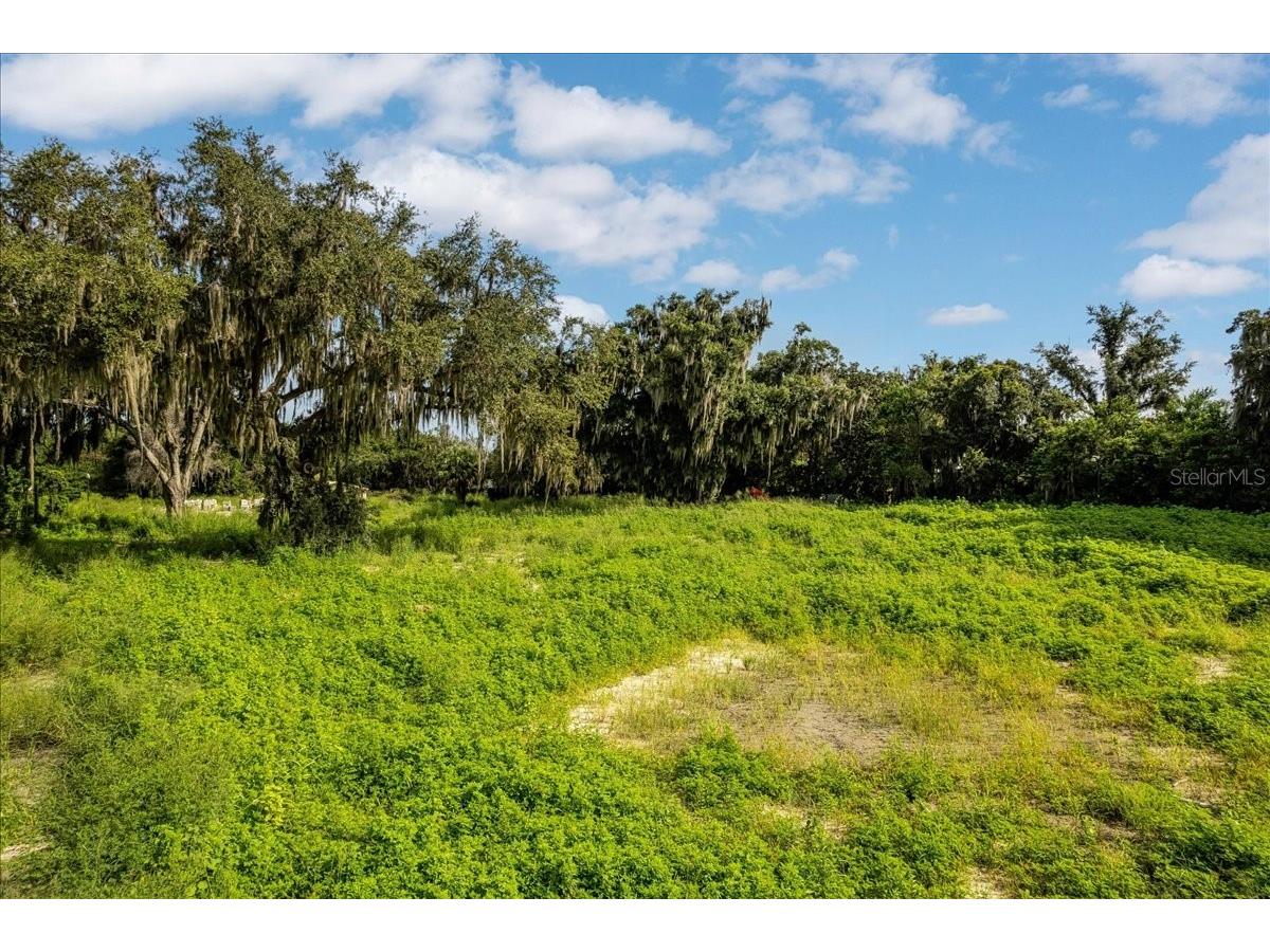 12422 Park Avenue Windermere FL 34786 - LAKE BUTLER O6416090 image53