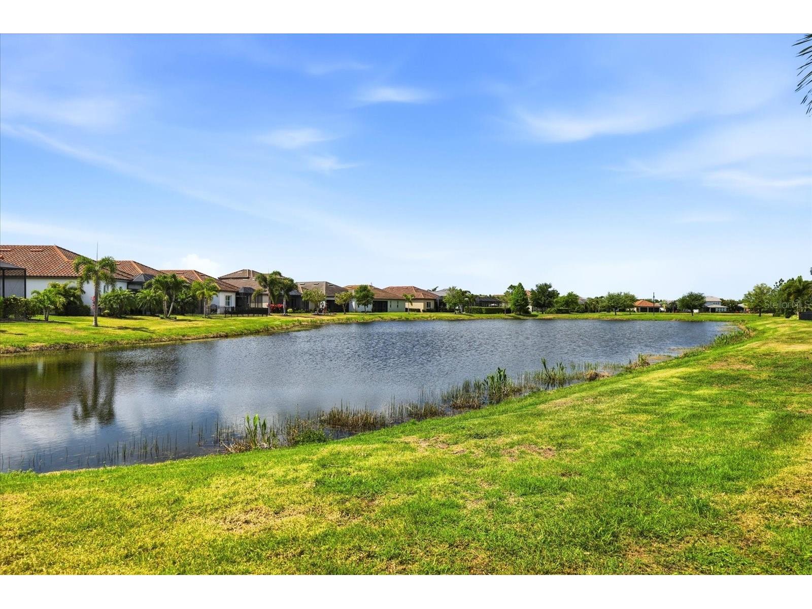 12422 Perennial Place Lakewood Ranch FL 34211 A4688672 image35