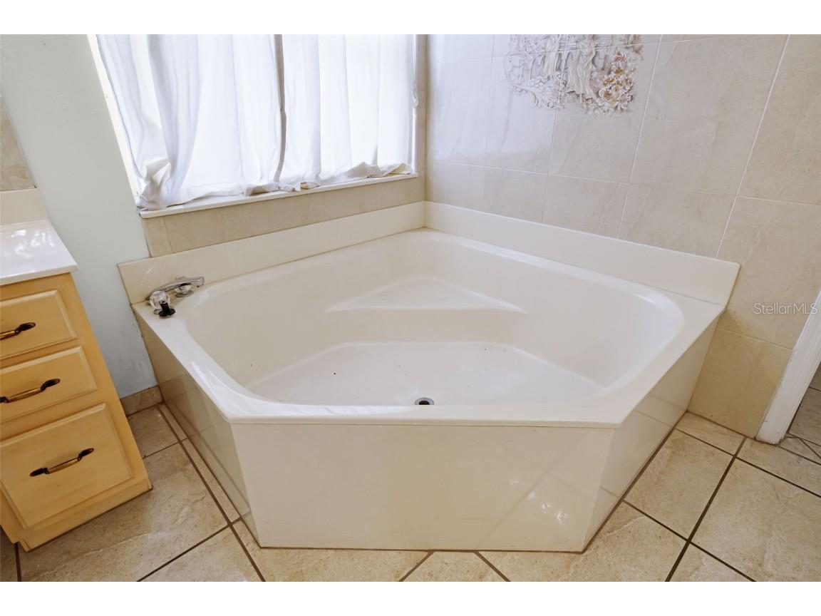 12422 Sion Court Orlando FL 32824 S5133033 image33