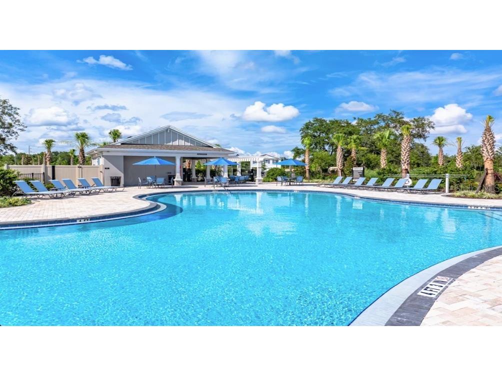 12422 Whisk Court Hudson FL 34669 TB8488028 image19