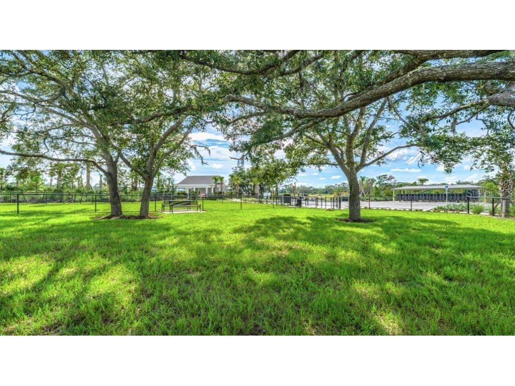 12422 Whisk Court Hudson FL 34669 TB8488028 image26