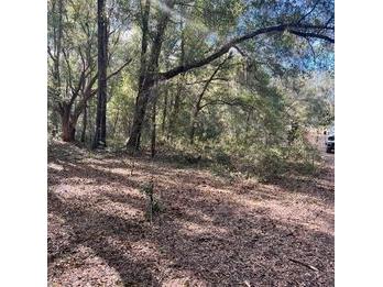 12423 N Elf Point Dunnellon FL 34433 U8193964 image1