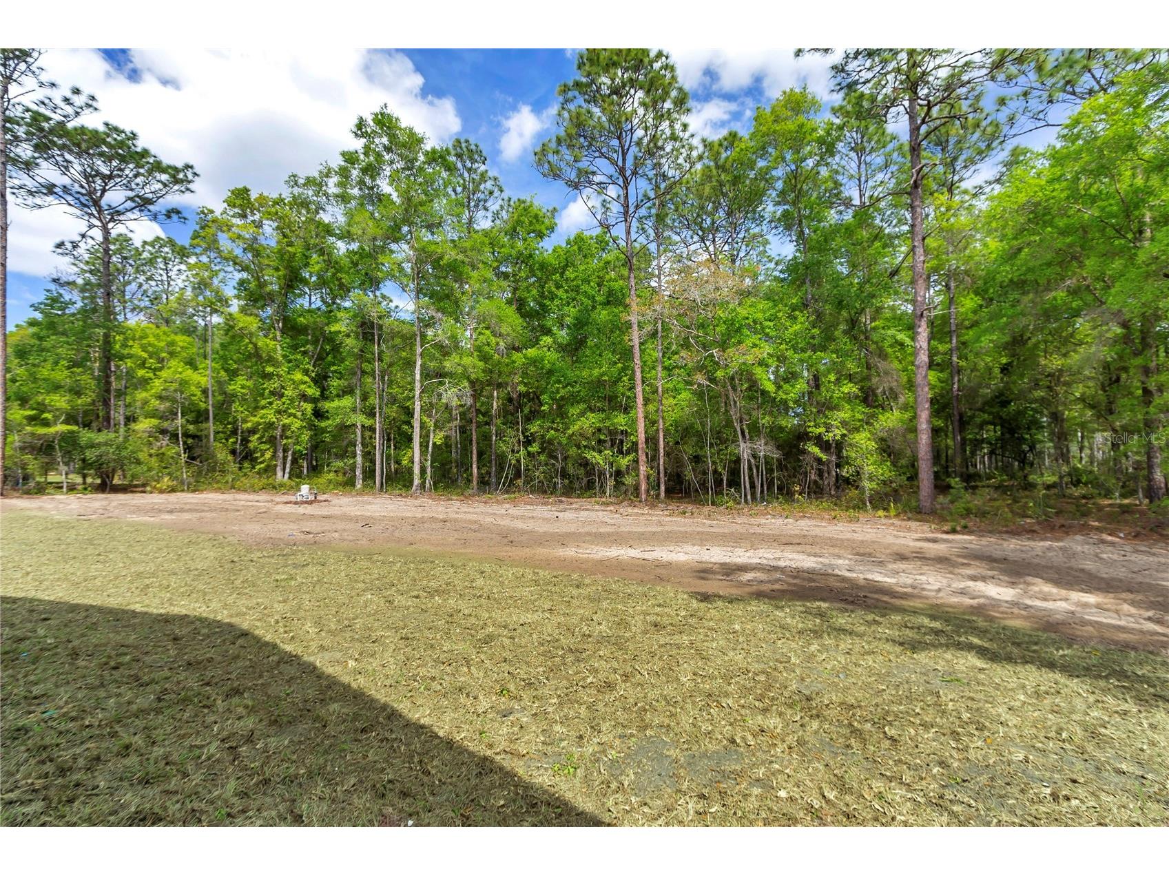 12423 SW 45 Street Ocala FL 34481 O6390692 image38