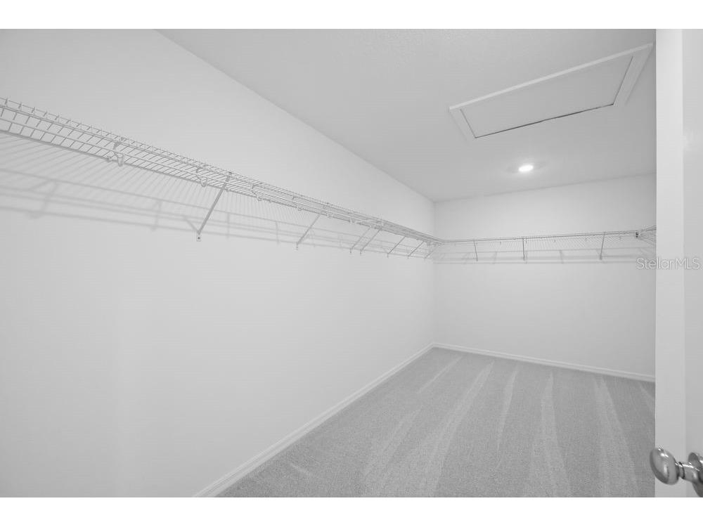 12423 Whisk Court Hudson FL 34669 TB8479463 image18