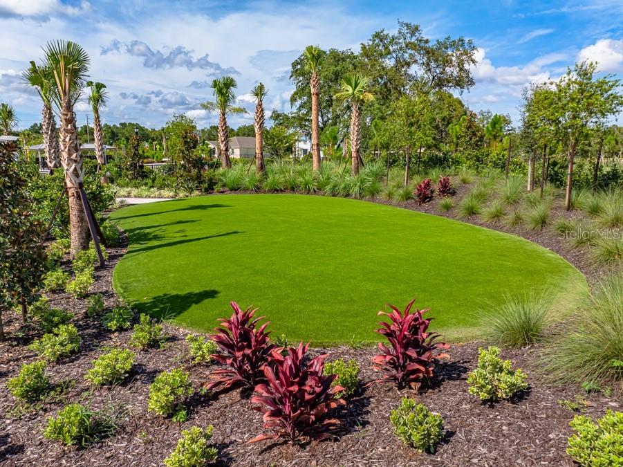 12423 Whisk Court Hudson FL 34669 TB8479463 image39