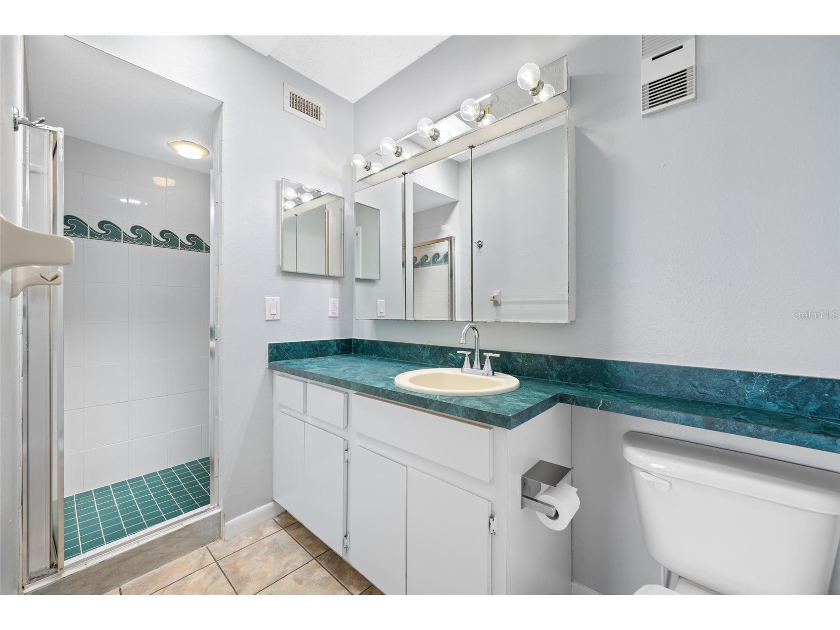 12424 Capri Circle N #5 Treasure Island FL 33706 TB8499918 image7